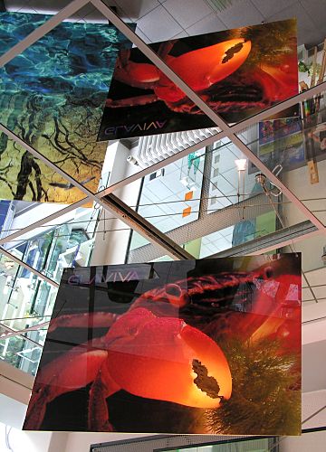GLAVIVA • Glas-Design und Digitaldruck auf Glas in der Architektur - Innenarchitektur mit Glas • Effekte - Optische Täuschungen - Spiegelungen - Der Fantasie sind keine Grenzen gesetzt